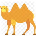 Bactrian Camel Camel Animal Icon