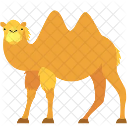 Bactrian Camel  Icon