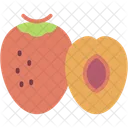 Bactris Gasipaes Tropical Fruit Food Icon