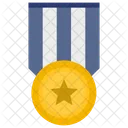 Military Hero Award Icon