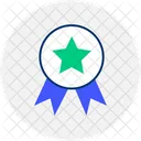 Badge With A Star Excellence Recognition Icon
