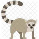 Badger Animal Wildlife Icon