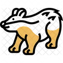 Badger Wildlife Animal Icon