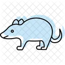 Badger Mammal Burrow Icon