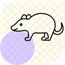 Badger Icon