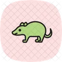 Badger Icon
