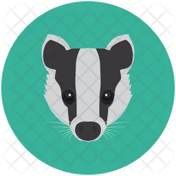 Badger  Icon