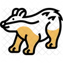 Badger  Icon