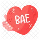Bae  Icon