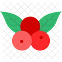 Bagas  Ícone