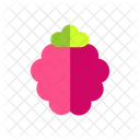 Fruta Ícone