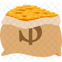 Bags Of Coins Money Coin Icon