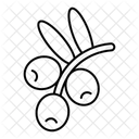  Icône