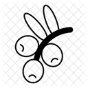  Icône