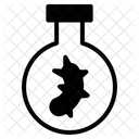 Bakterientest Laborexperiment Bakterien Symbol