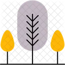 Bald cypress  Icon