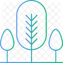 Bald cypress  Icon