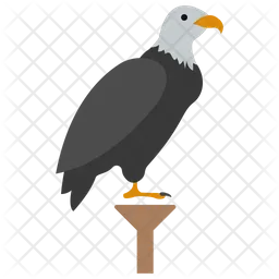 Bald Eagle  Icon
