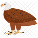 Bald Eagle Icon