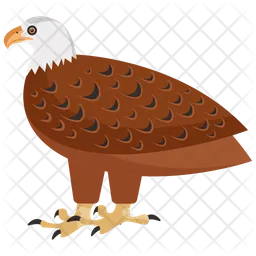 Bald Eagle  Icon