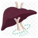 Baldder  Icon