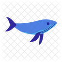 Balena Animale Pesce Icon