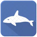 Balena Squalo Mare Icon