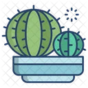 Ball Cactus Cactus Pot Cactus Plant Icon