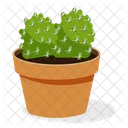 Indoor Plant Ornamental Plant Houseplant Decoration Icon
