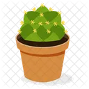 Indoor Plant Ornamental Plant Houseplant Decoration Icon