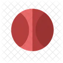 Ball Football Basketball Icon