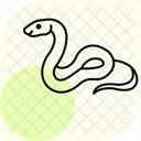 ボールパイソン  アイコン