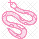 Ball Python Ballpython Pet Icon
