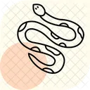 Ball Python Ballpython Pet Icon