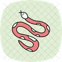Ball python  Icon