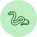 Ball Python Ballpython Reptile Icon