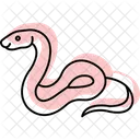 Ball Python Icon