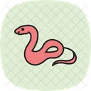 Ball Python Ballpython Reptile Icon