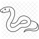 Python royal  Icône