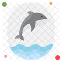 Animales Peces Mar Icon