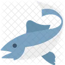 Ballena Fauna Oceano Icon