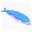 Ballena  Icono