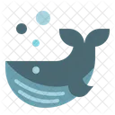 Ballena  Icono