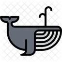 Pez Ballena Tiburon Icono