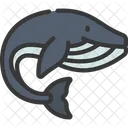 Ballena  Icon