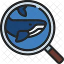 Ballena  Icon