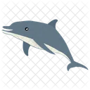 Ballena Mamifero Animal Icon