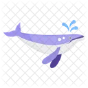 Orca  Icon