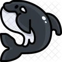 Orca  Icono