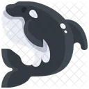 Orca  Icono